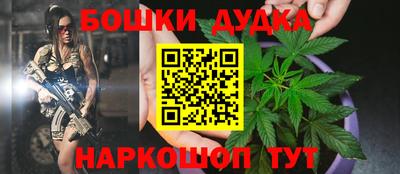крисы Малоярославец