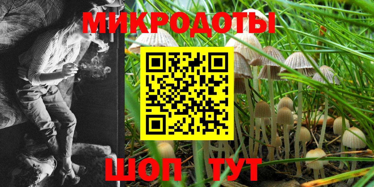 как найти наркотики  Псилоцибиновые грибы мицелий  Артёмовский  Вход с VPN  Галлюциногенные грибы прущие грибы 