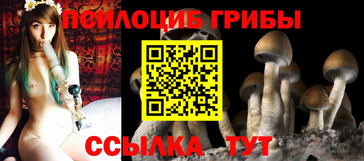 Галлюциногенные грибы Magic Shrooms Артёмовский
