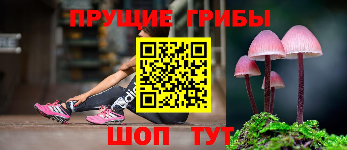 Псилоцибиновые грибы GOLDEN TEACHER  Артёмовский  купить  сайты  Галлюциногенные грибы Magic Shrooms 